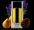 Apă de parfum Asten, Ultra Man Intense, barbati, 100 ml -    Inspirat din Intense D